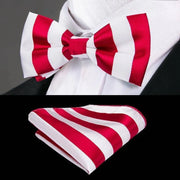 100% Silk Butterfly Bow Tie, Handkerchief and Cufflinks Set