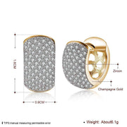 Round CZ Stone Cubic Zirconia Earring